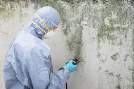 Best Industrial Mold Remediation in Parachute, CO